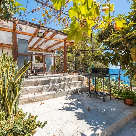 Casa Ros 펜션 팔레르모